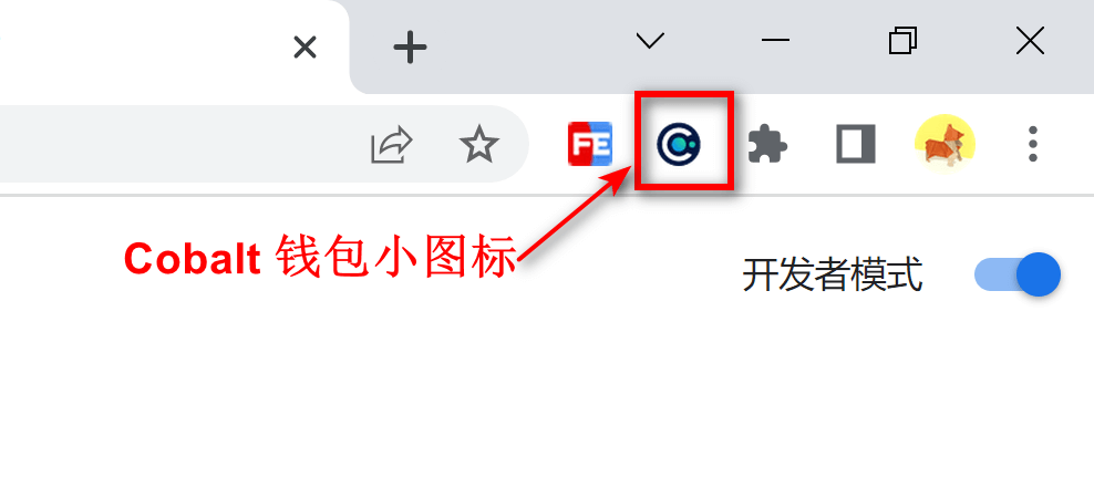 Chrome Cobalt 钱包小图标